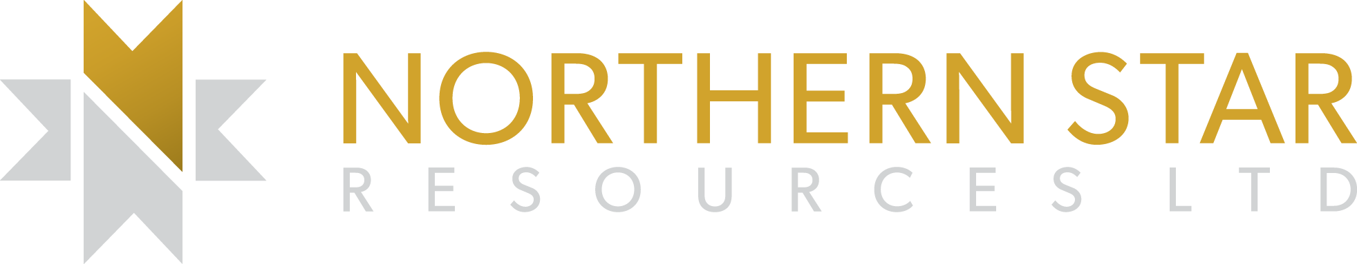 Partner logo 6